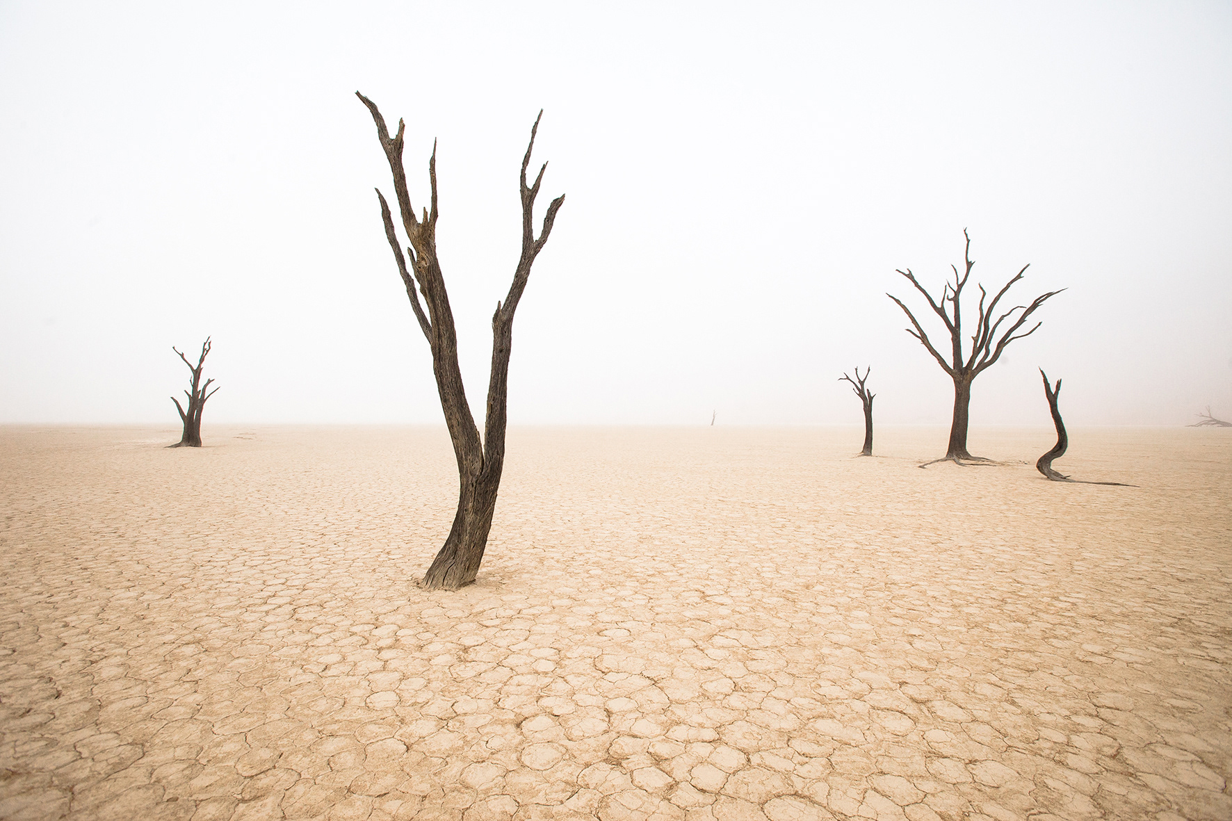 "DEADVlEI"  Privé 9