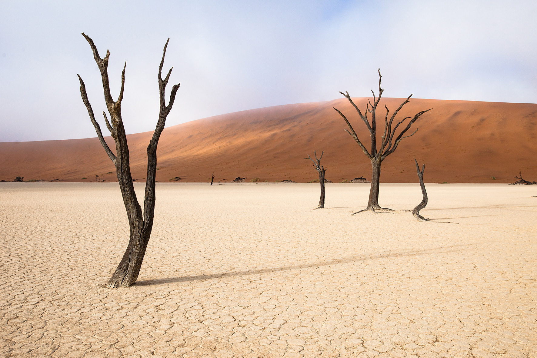 "DEADVIEI II"  Privé 10