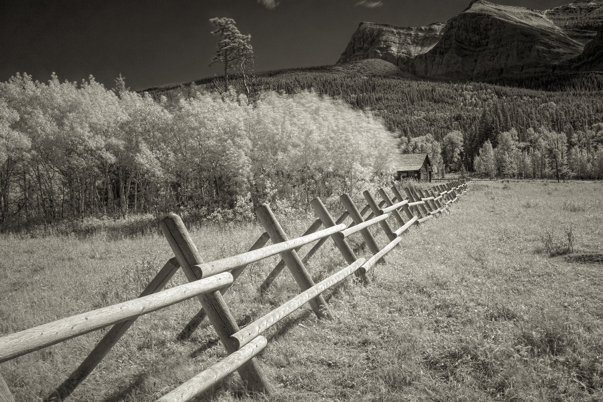 Waterton AT 1