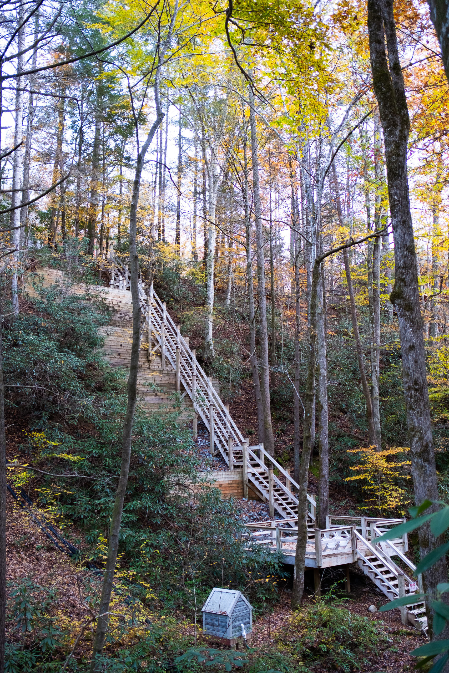 Staircase, Lake Lure