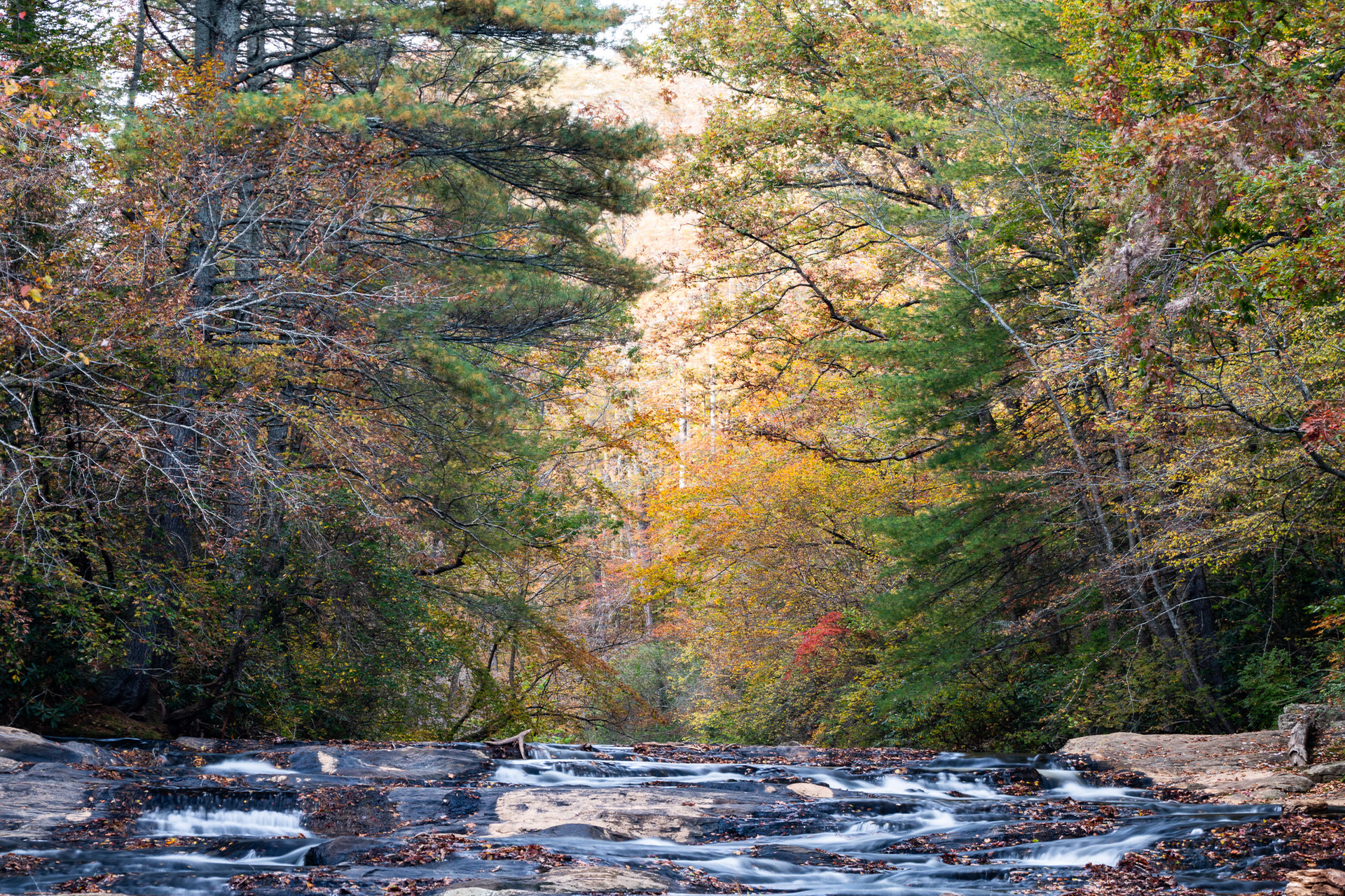 Big Elkin Creek Shoals
