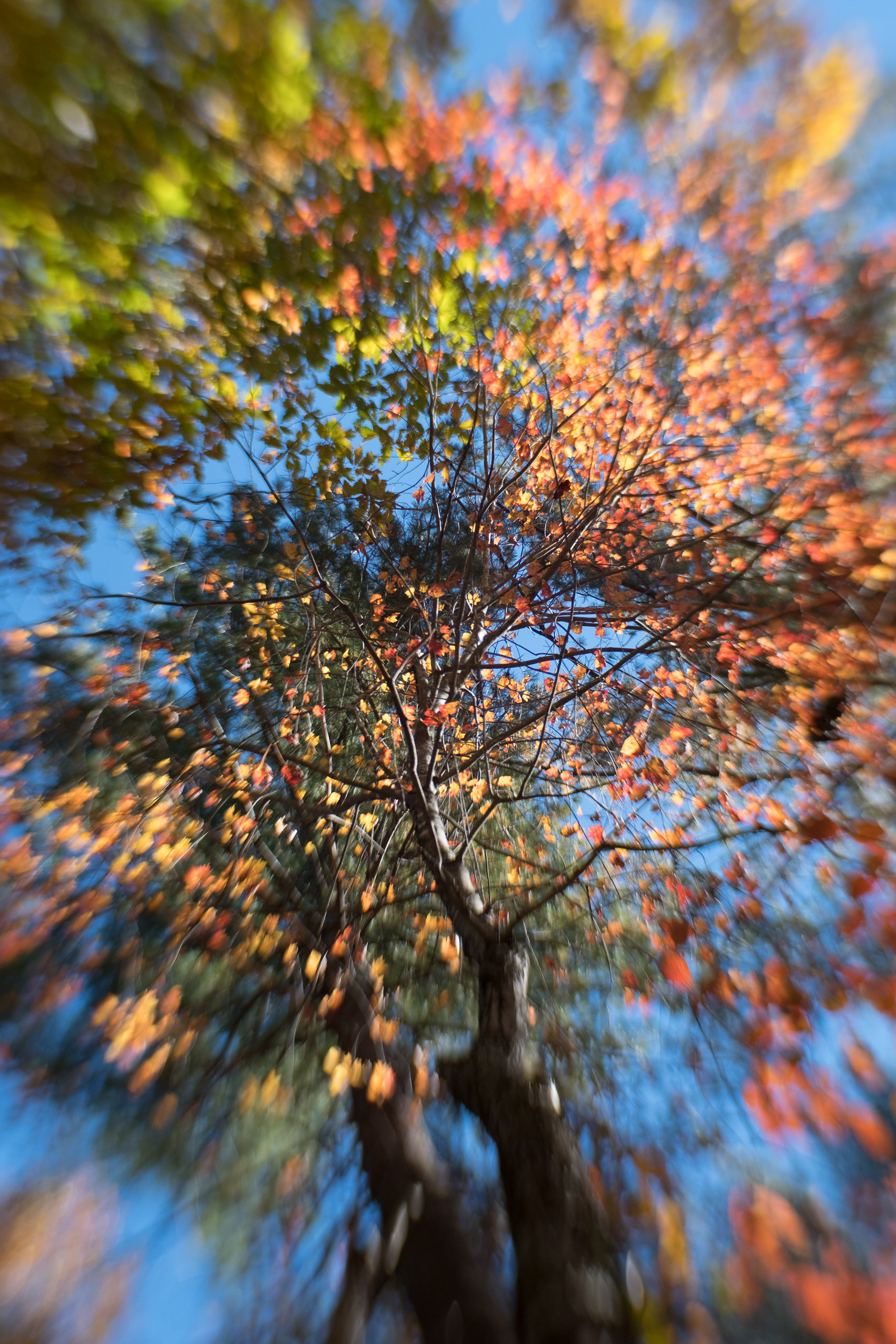 Color Swirl 1