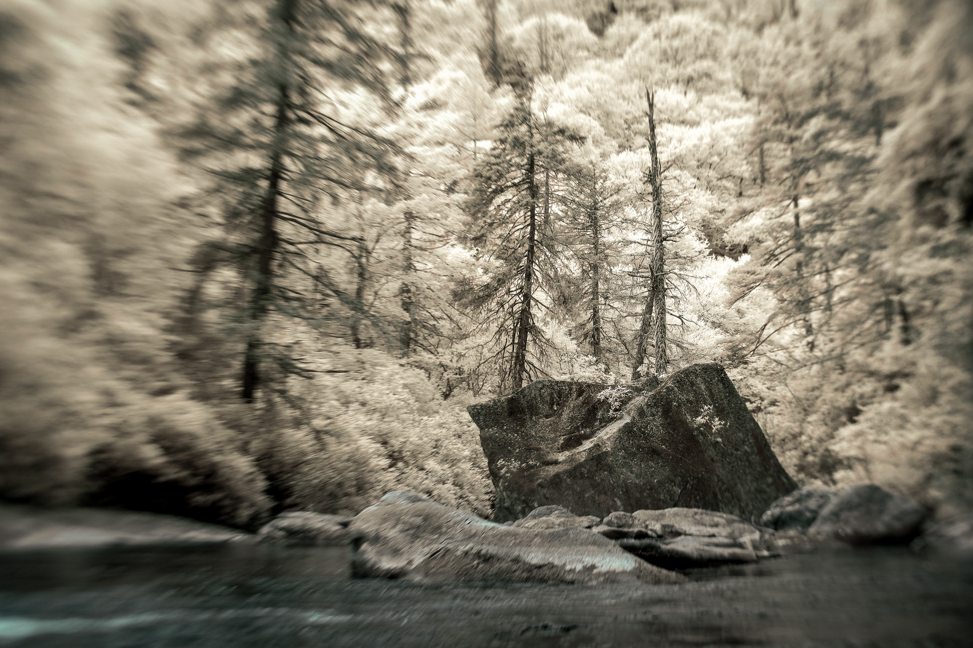 In Deep, Pisgah