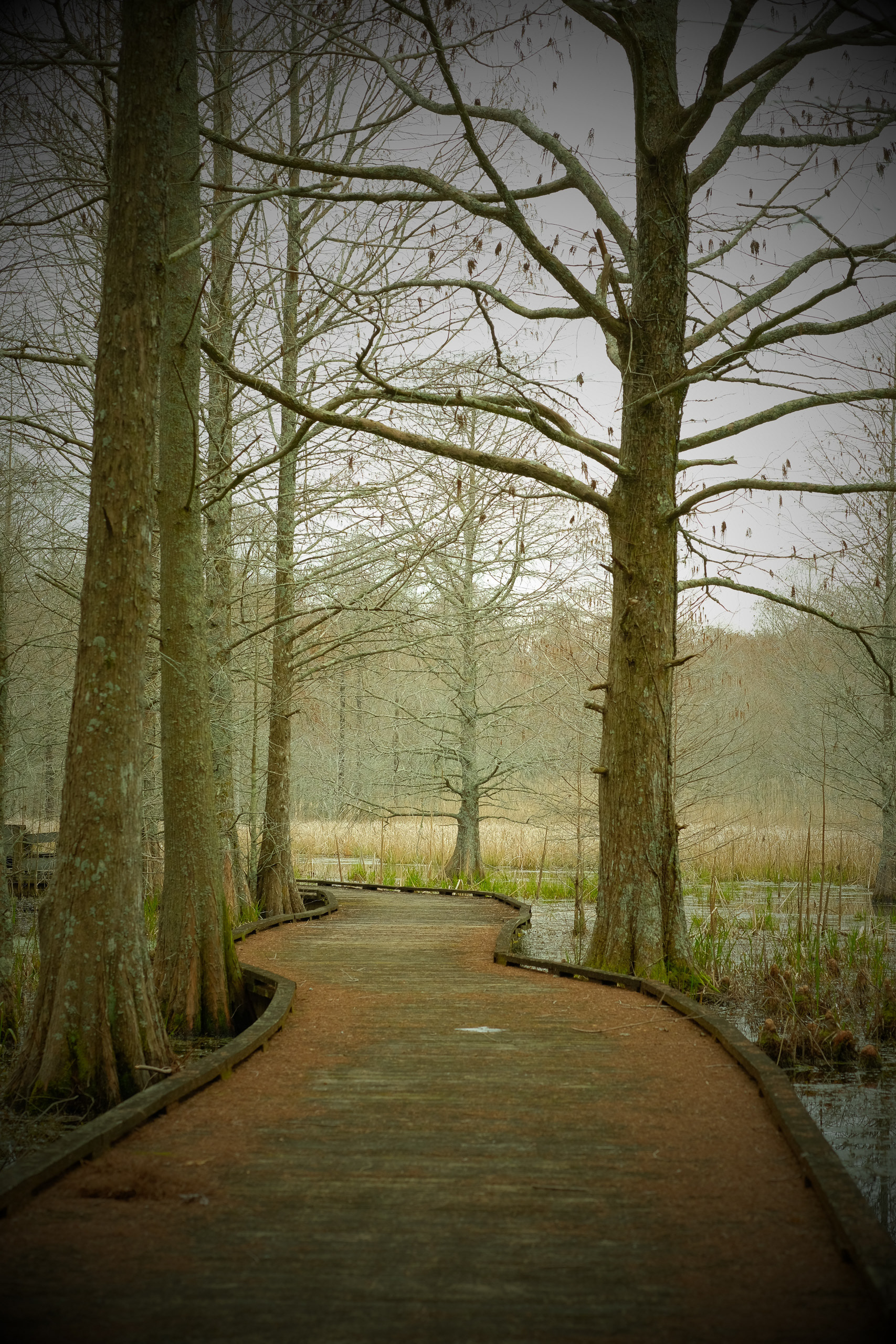 Boardwalk