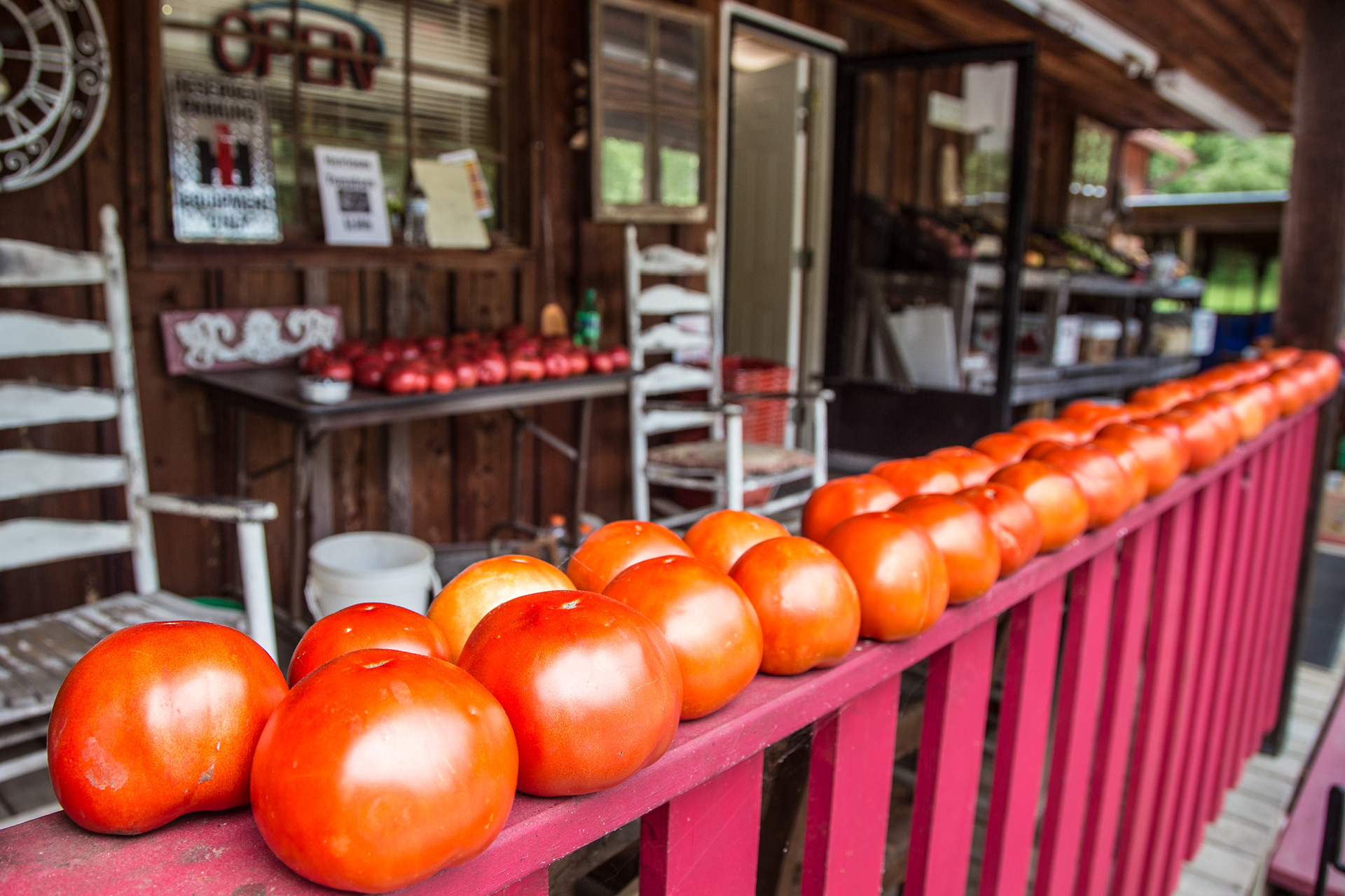 Tomatoes