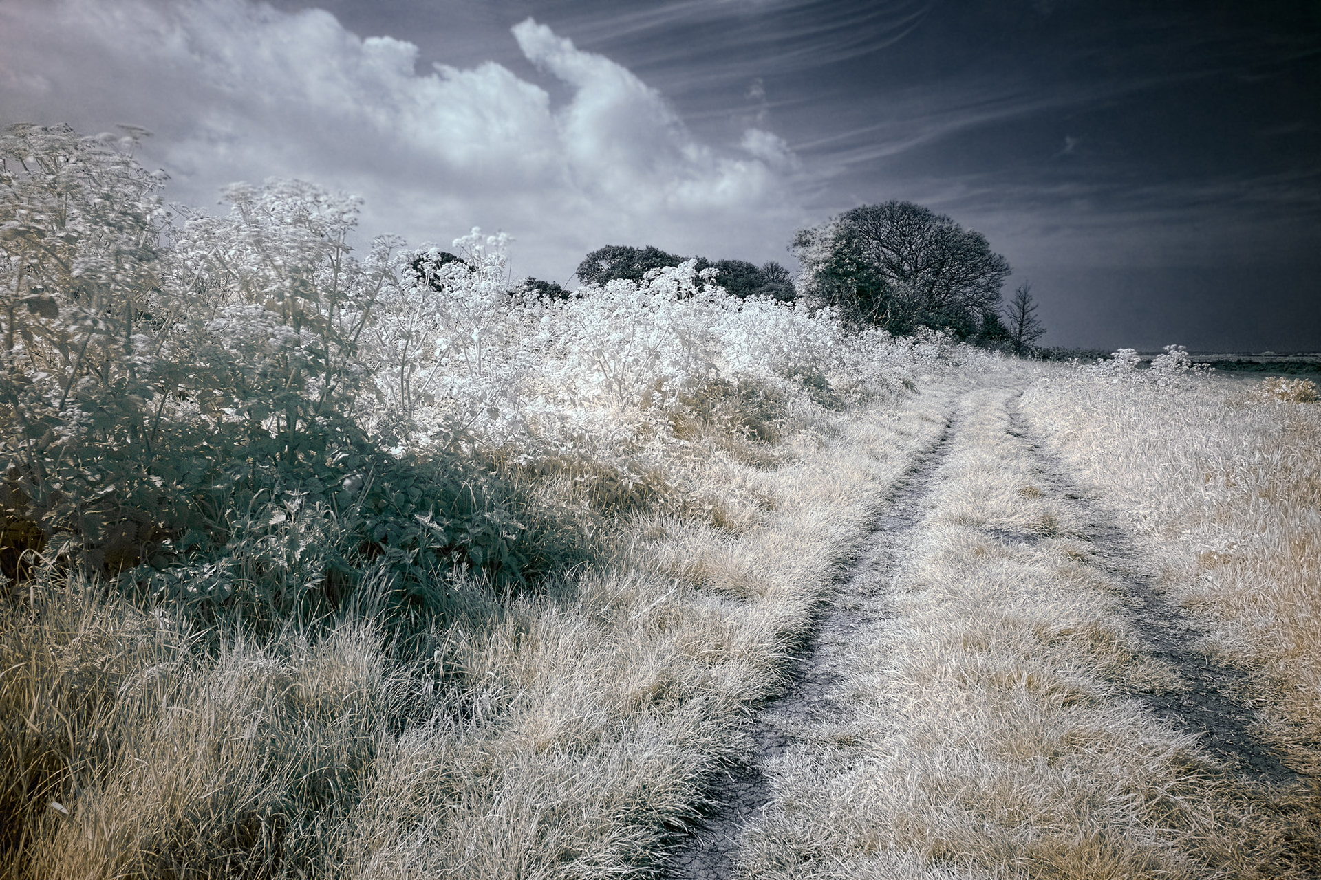 Norfolk Footpath