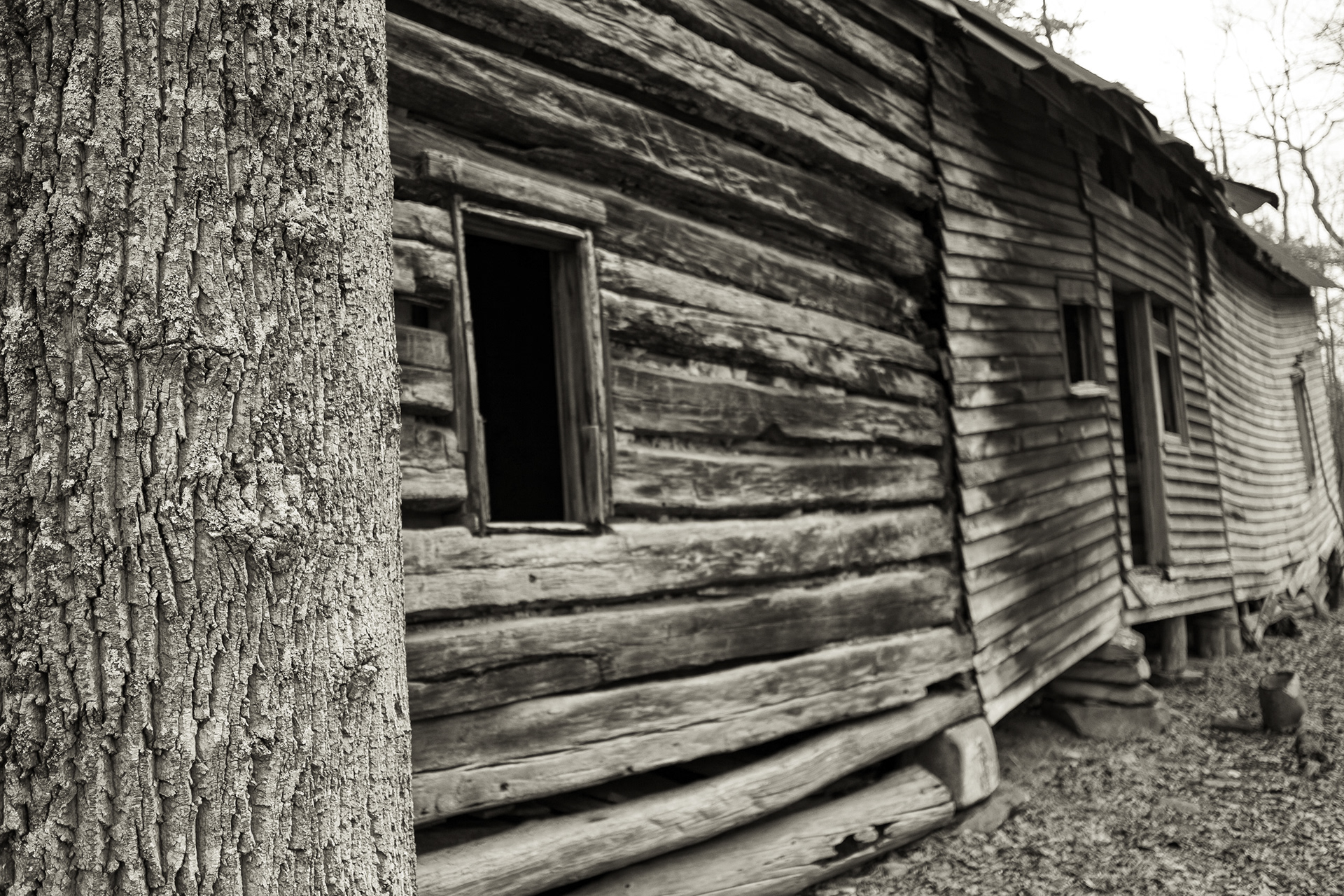 The 'Haunted' Cabin