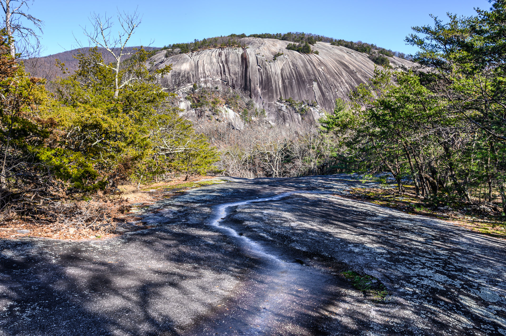 Stone Mountain View