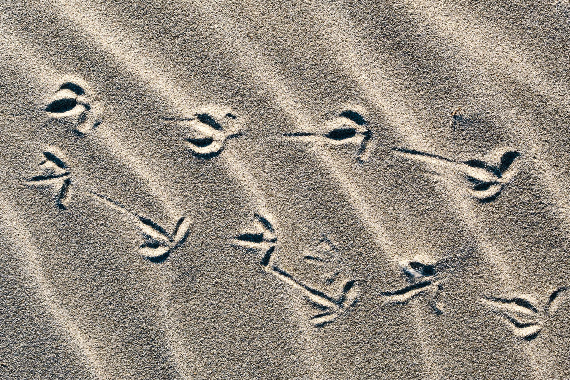 Footsteps on the Dance Floor