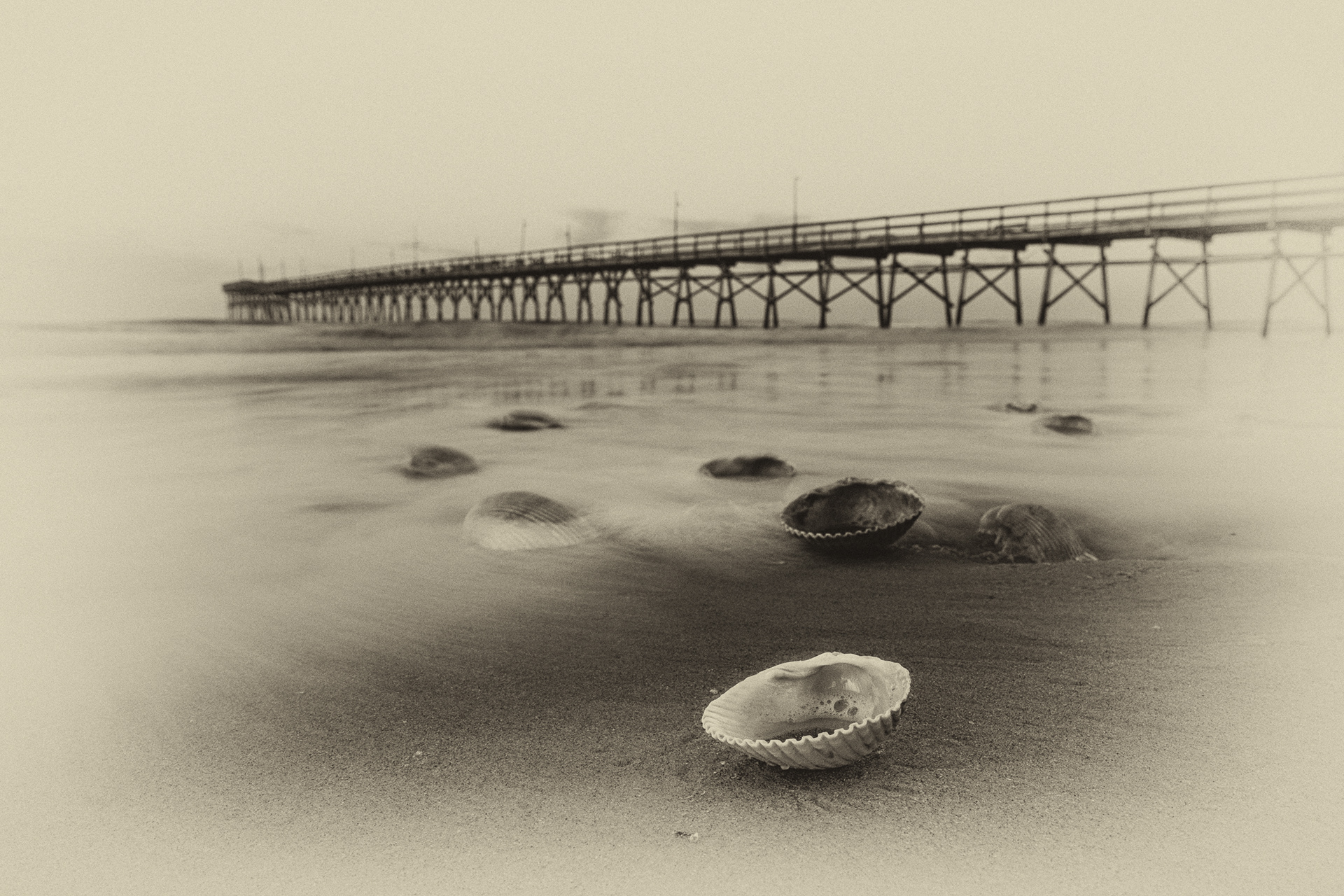 The Shell Shuffle