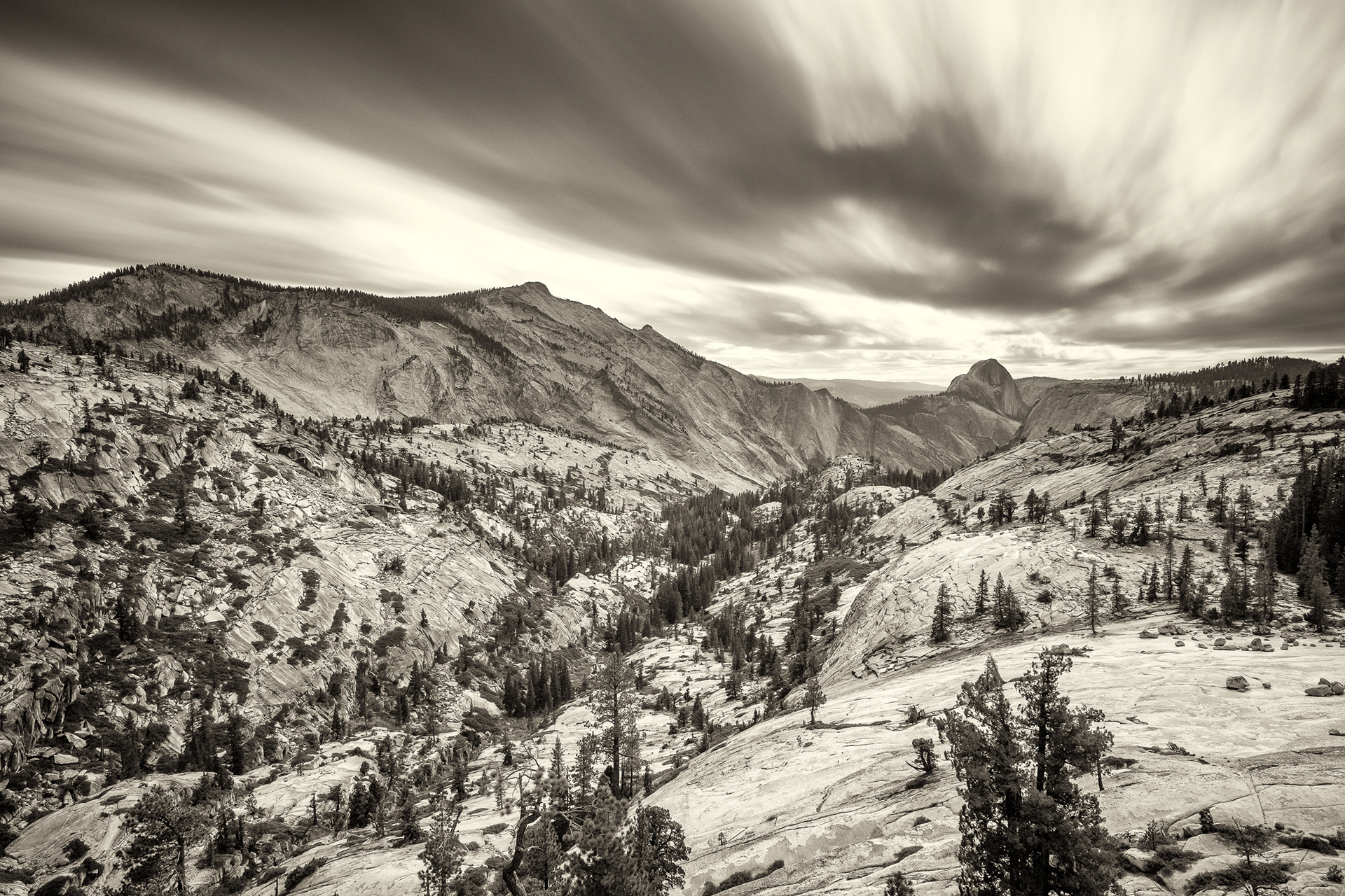 Tenaya Canyon LE