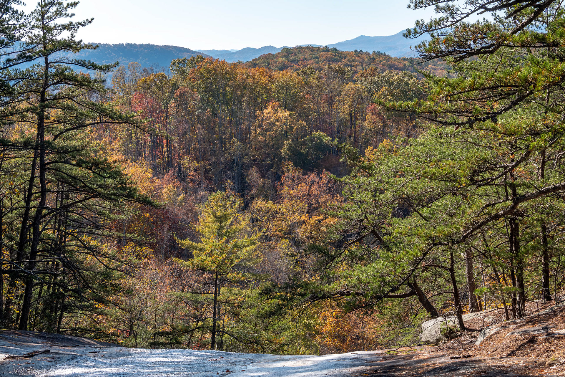 Top of the Fall