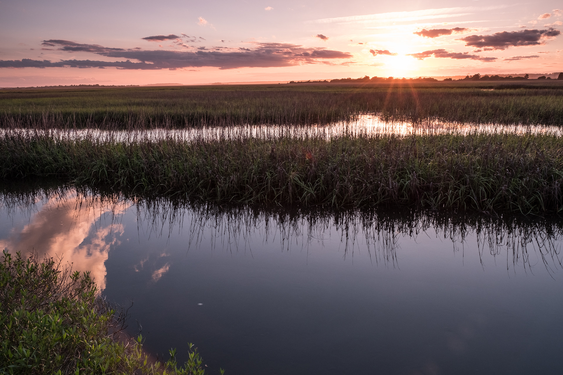Marsh Sunset