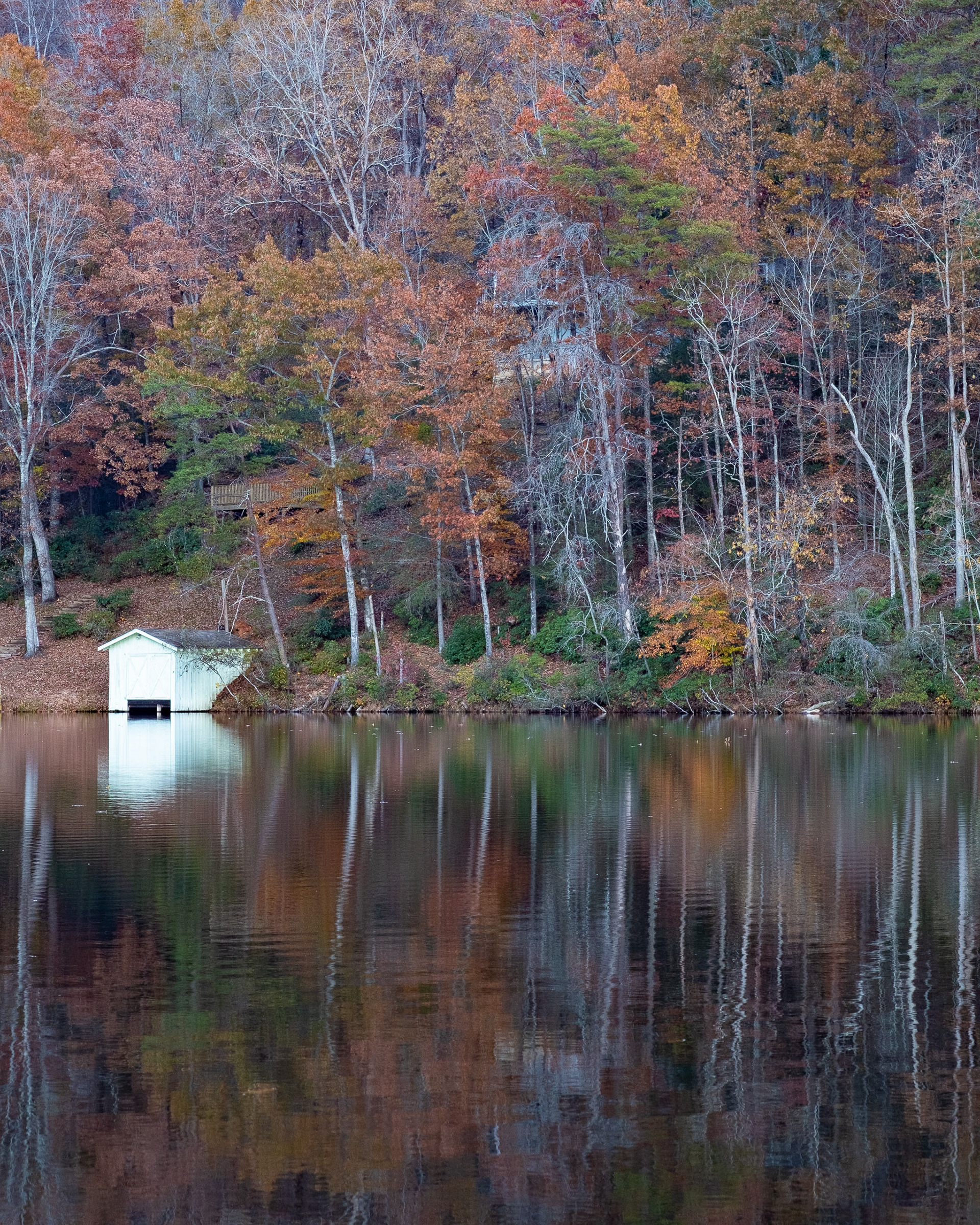 Boat Shed, Lake Lure