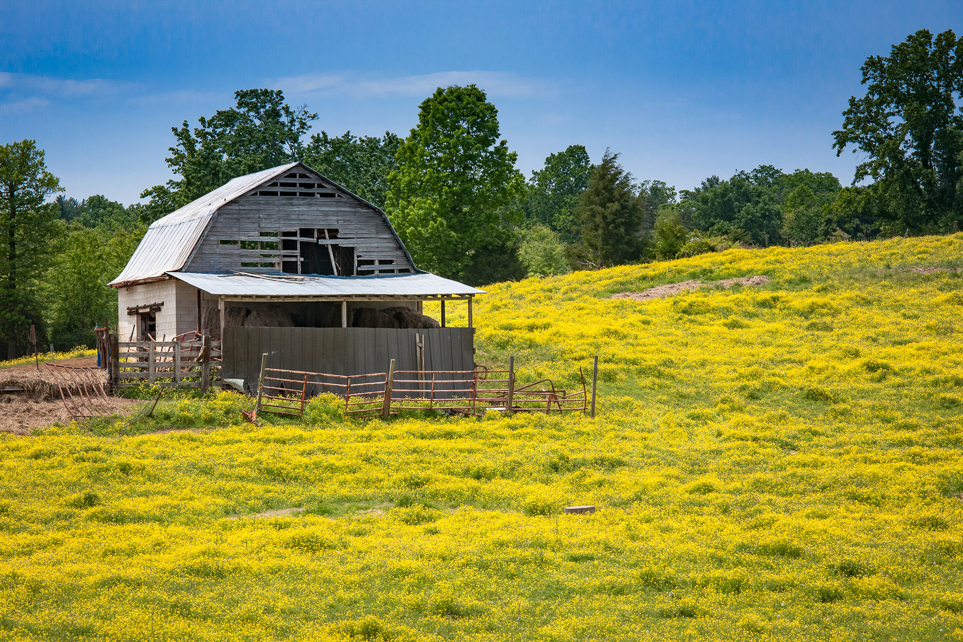 Traphill Barn