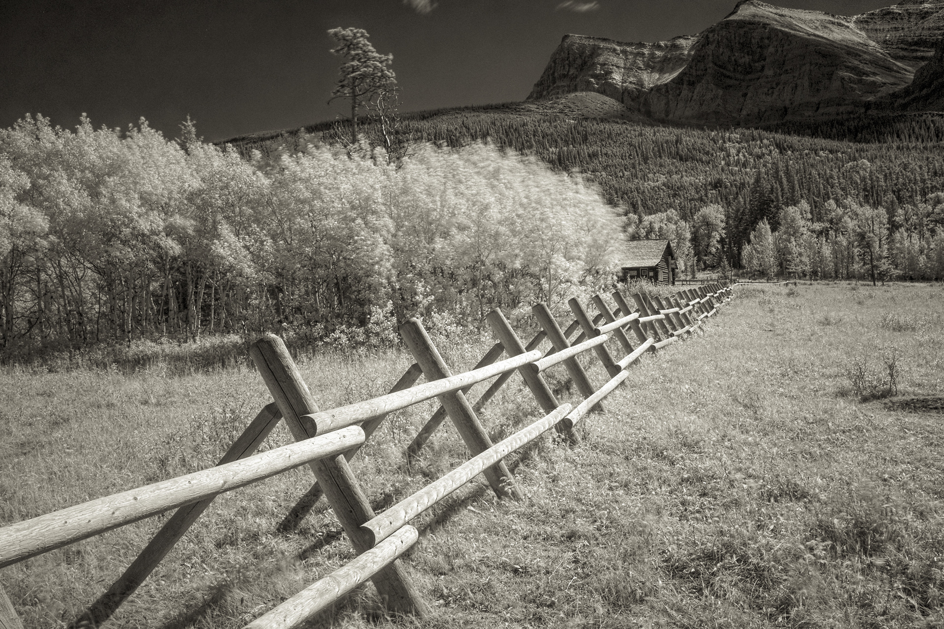 Belly River Post & Rail