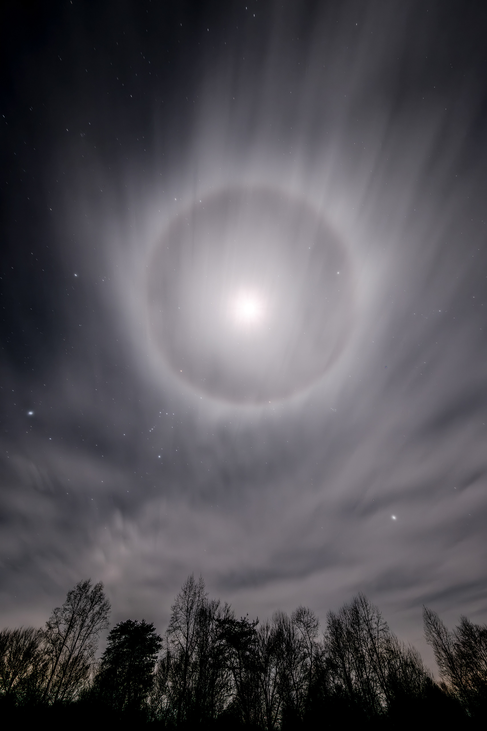 Halo