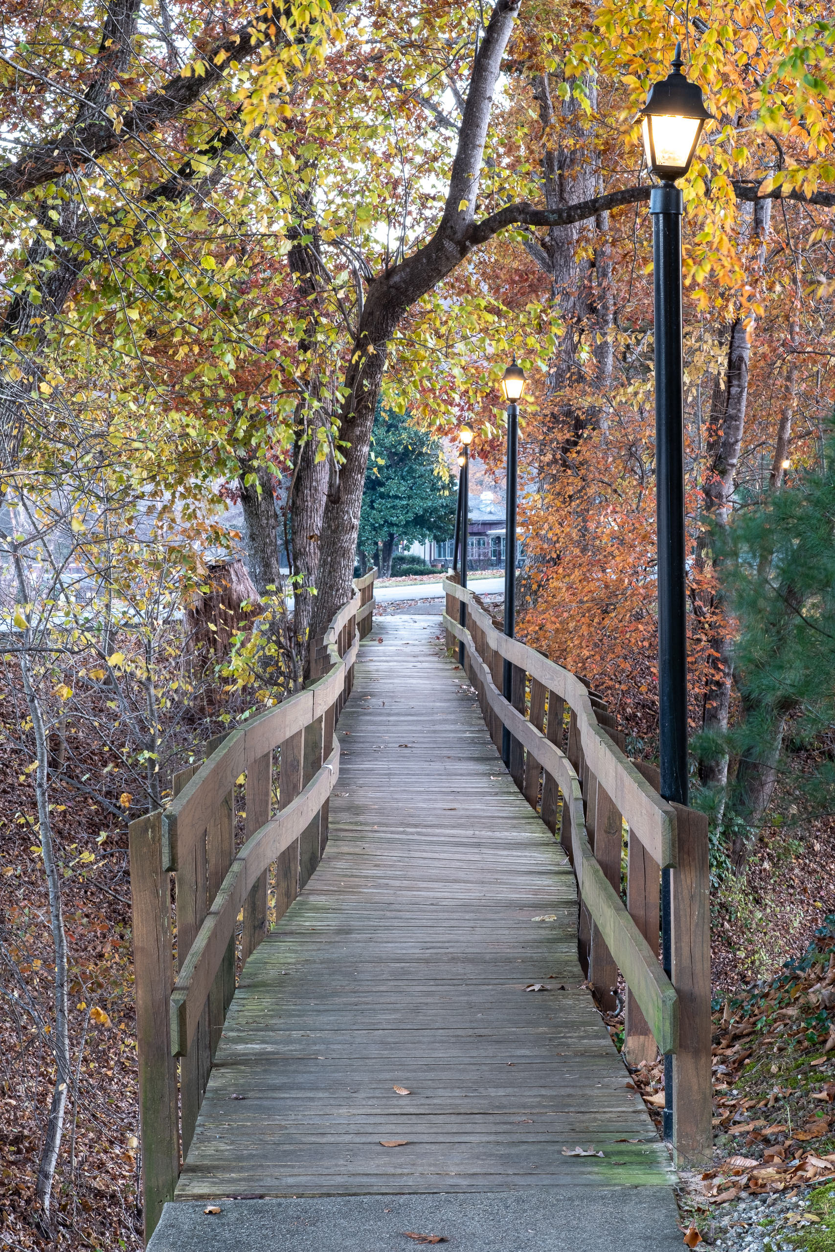 Lake Lure Boardwalk