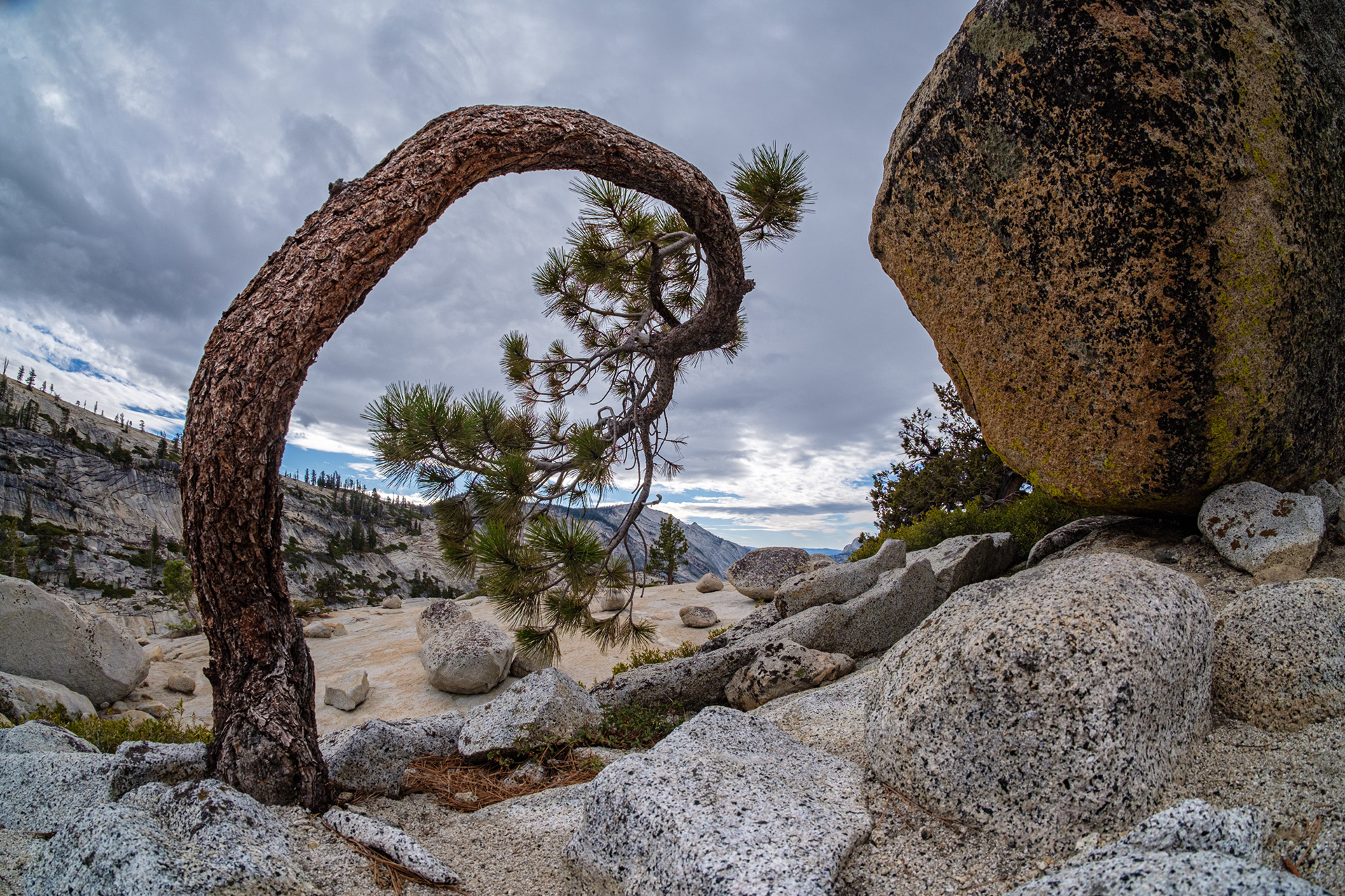 Spiral