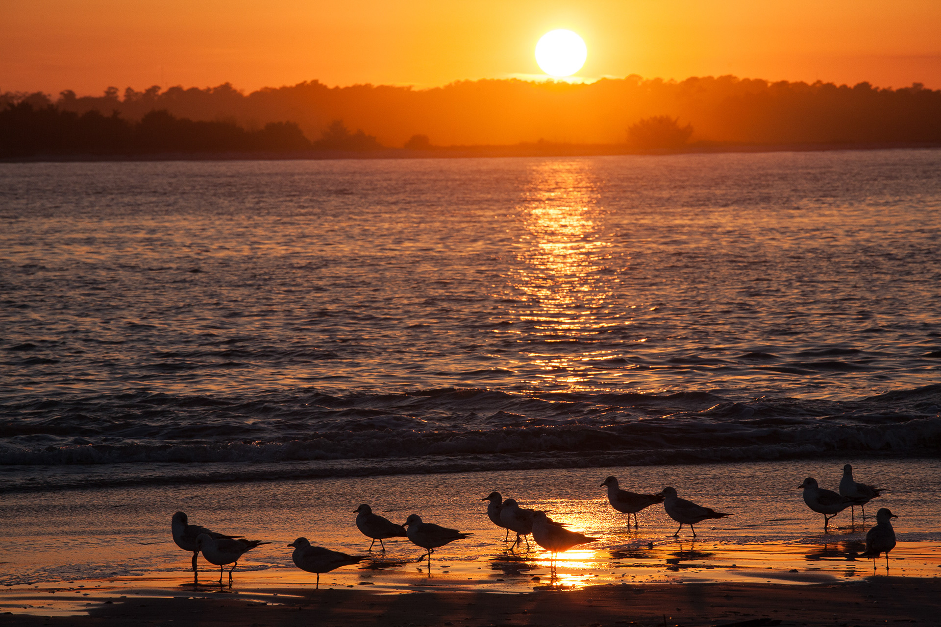 Sun Goes Down