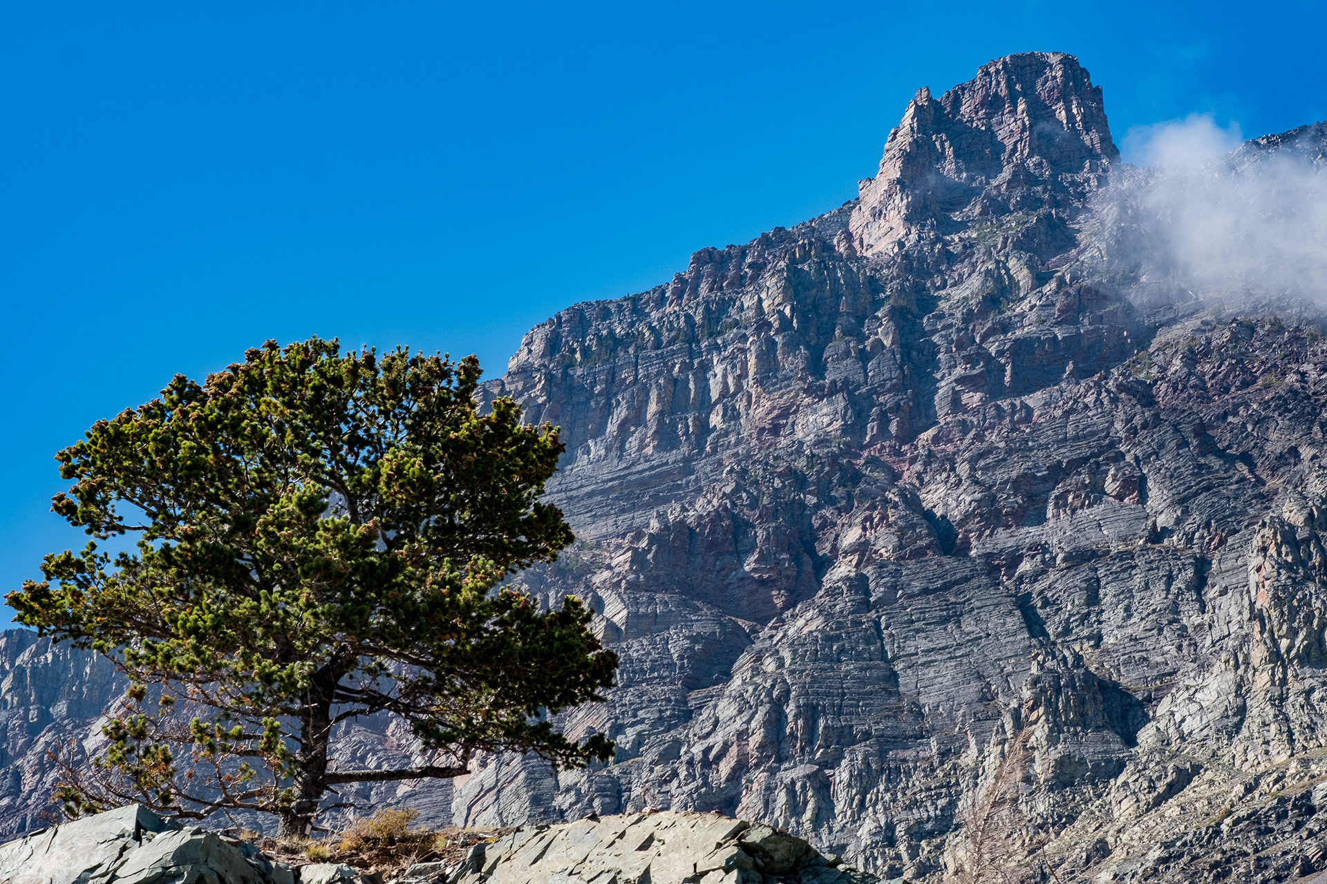 Ascent, Clements Mountain