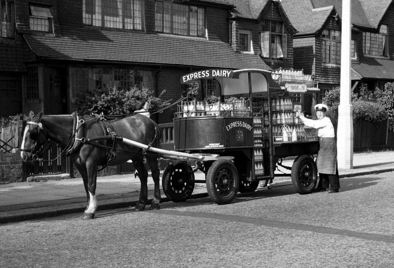 1950's ? Express milk delivery by horse