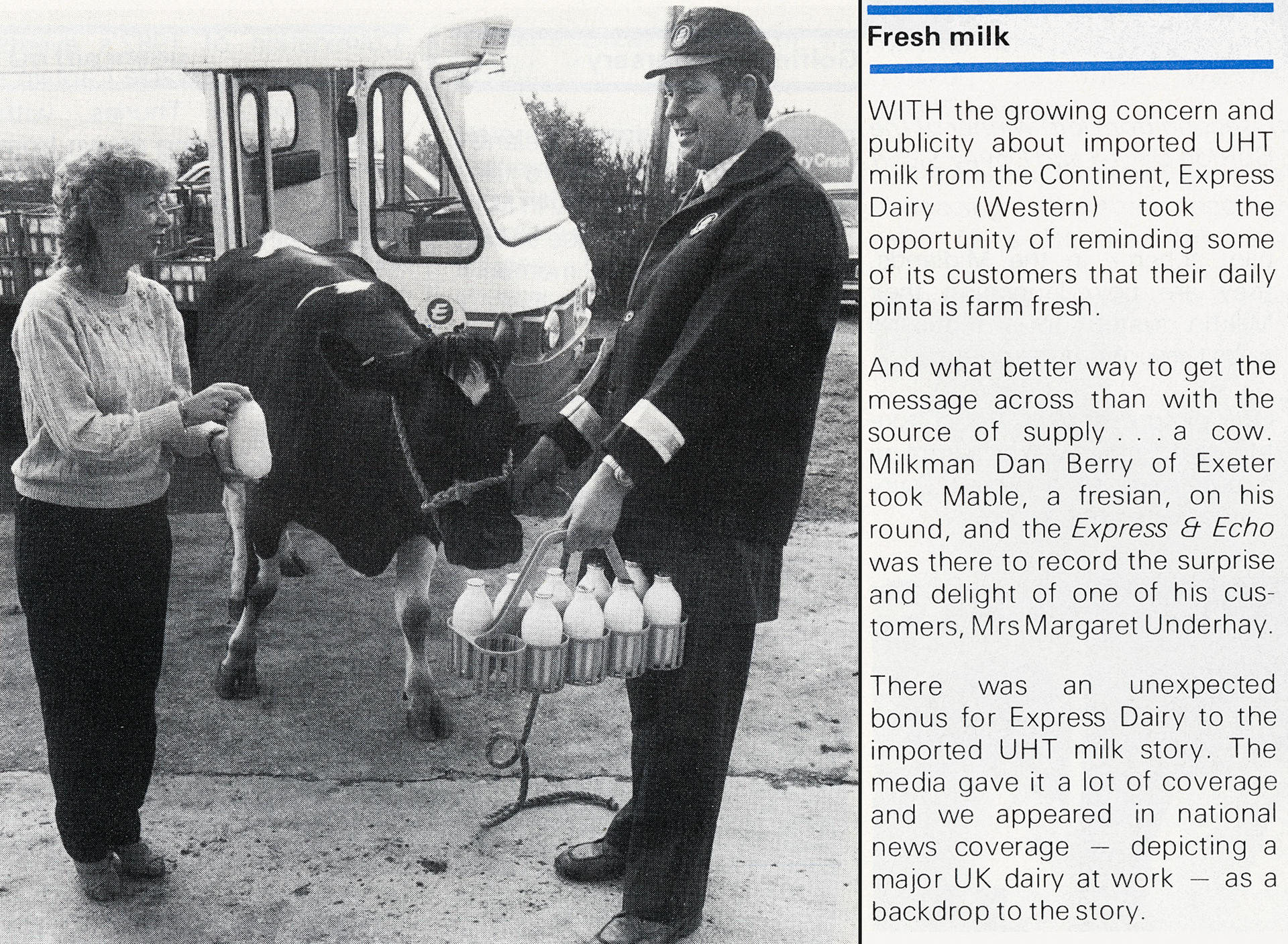 1983 Exeter milkman Dan Berry demonstrates 'farm fresh' milk with Friesian 'Mabel' and customer Mrs Margaret Underhay. (Express News Spring)