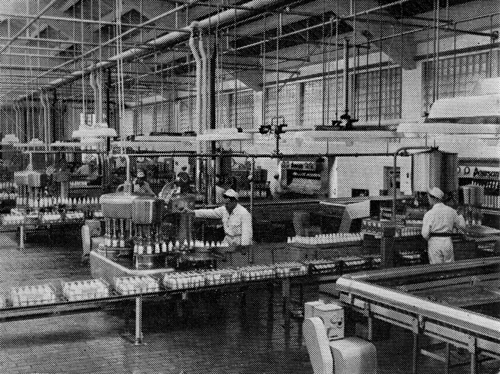 1956 South Morden "Bottlng-after being washed, the clean bottles are first scrutinised and then filled at the rate of a thousand a minute". (Express News July)