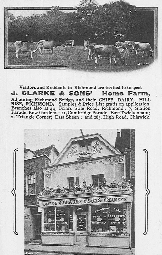1890 J Clarke moved to Richmond to take over Sudbrook Farm Dairy, which started in 1852. (Courtesy Twickenham Park Residents Association)