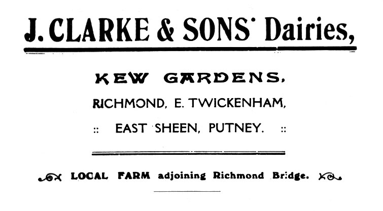 Clarke and Sons card (Courtesy Kew through my camera lens book, Pat Thomas)