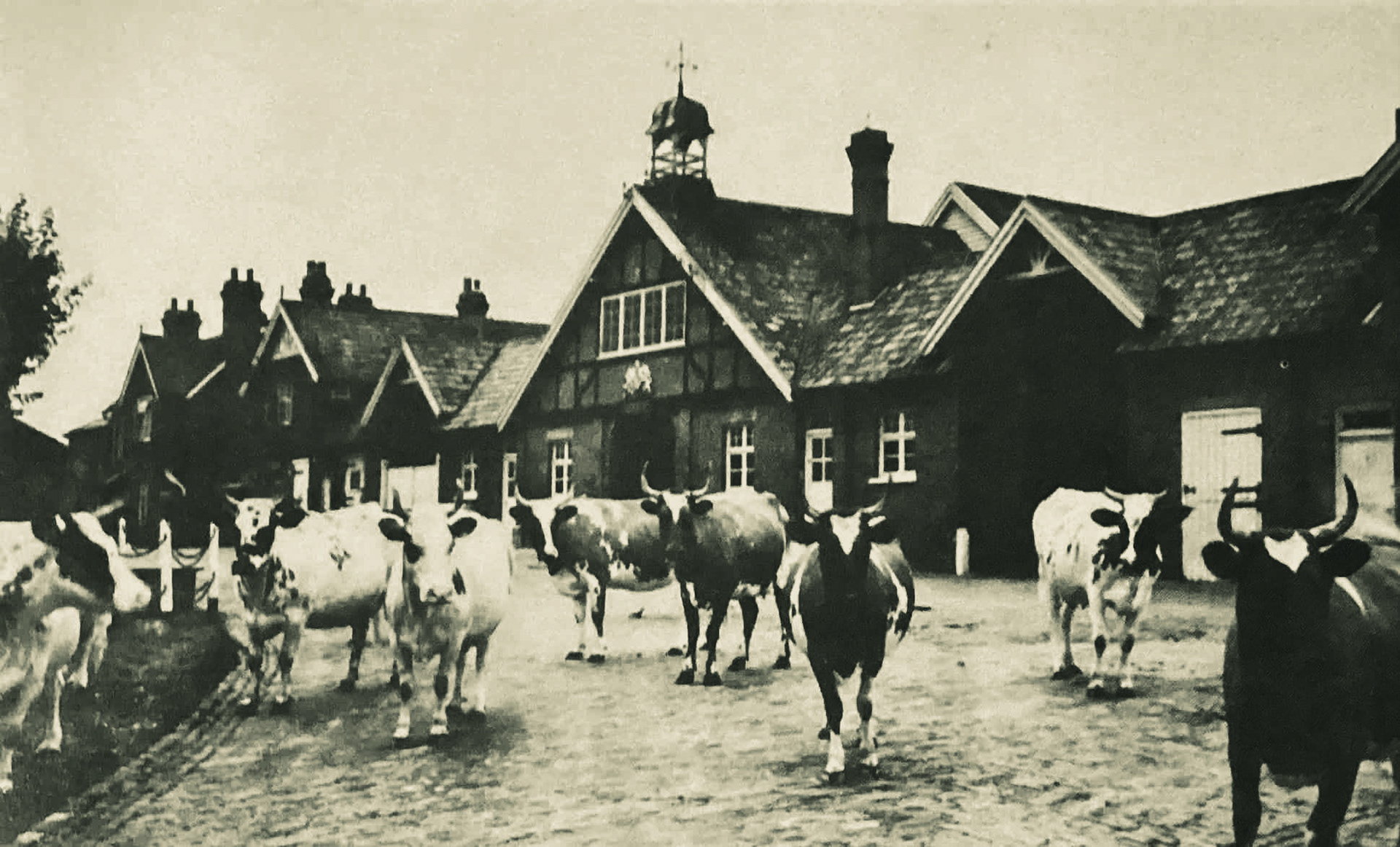 1890's? College Farm, Finchley (Courtesy Michael Aldread)