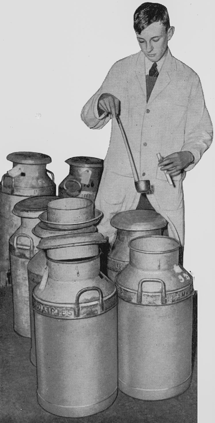 1957 Hammett's Dairies brochure extracts-sampling milk for analysis in the laboratory. (Courtesy Michael Mitchell)