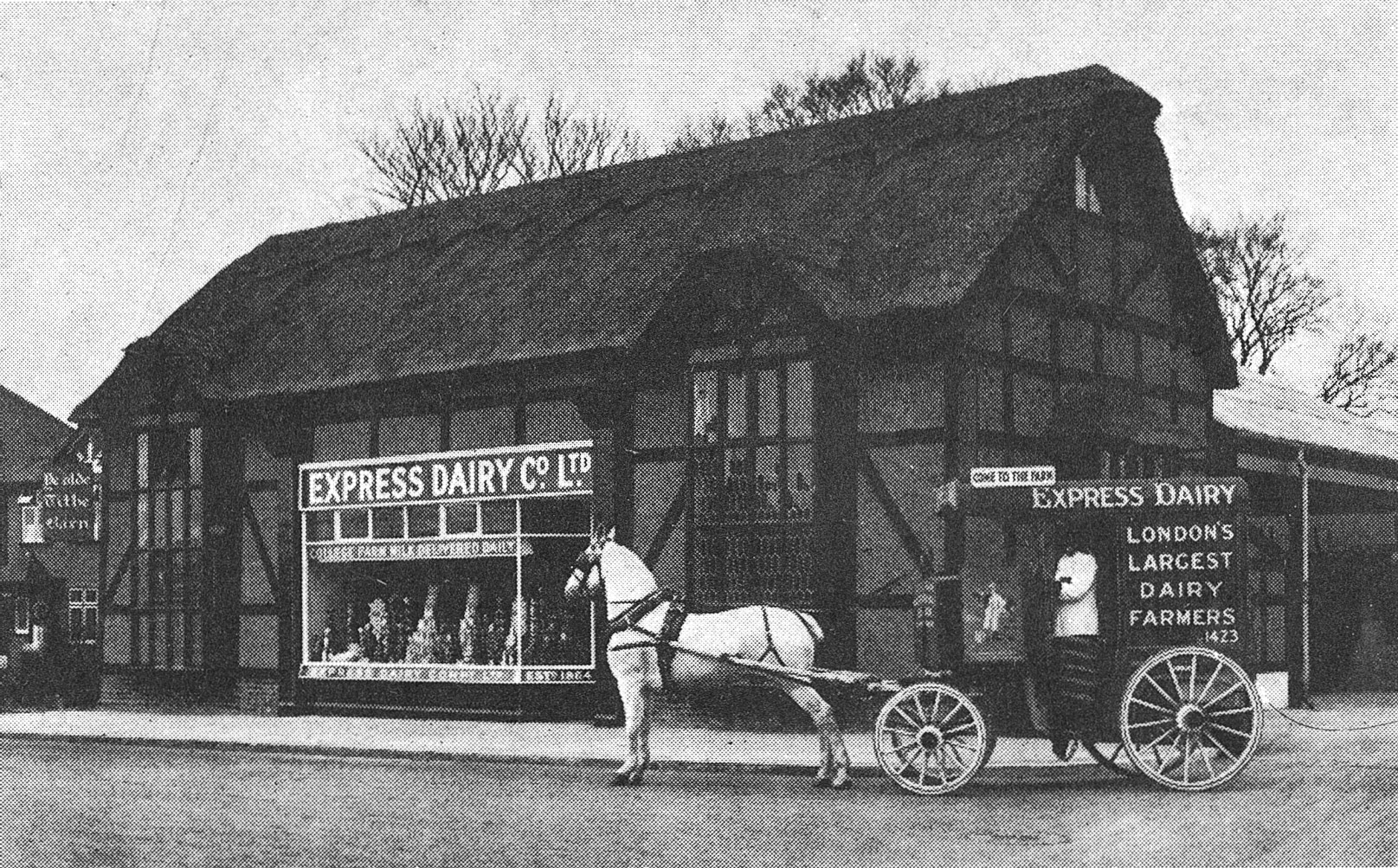 1900's Tithe Farm Depot, Mill Hill - Illustration from 'Milk for the millions'