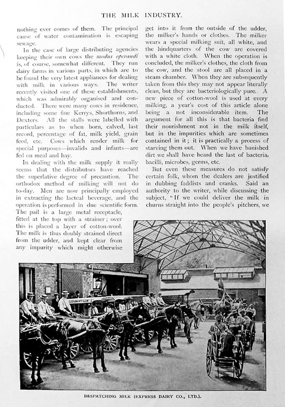 1910c 'Britain at Work' extracts - The Milk Industry. (Courtesy eBay Oldprints4all)