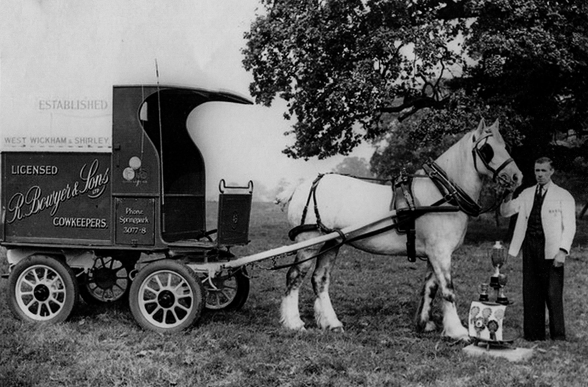 1950's? Bowyer's Show Horse, Champion at Windsor and Regent's Park (Courtesy Hilary McCluskey/Bowyer)