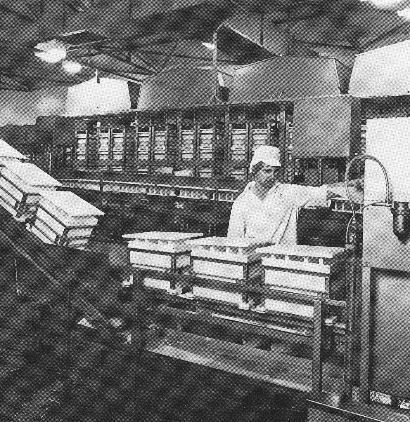 1983 Ian Davies at Ruyton