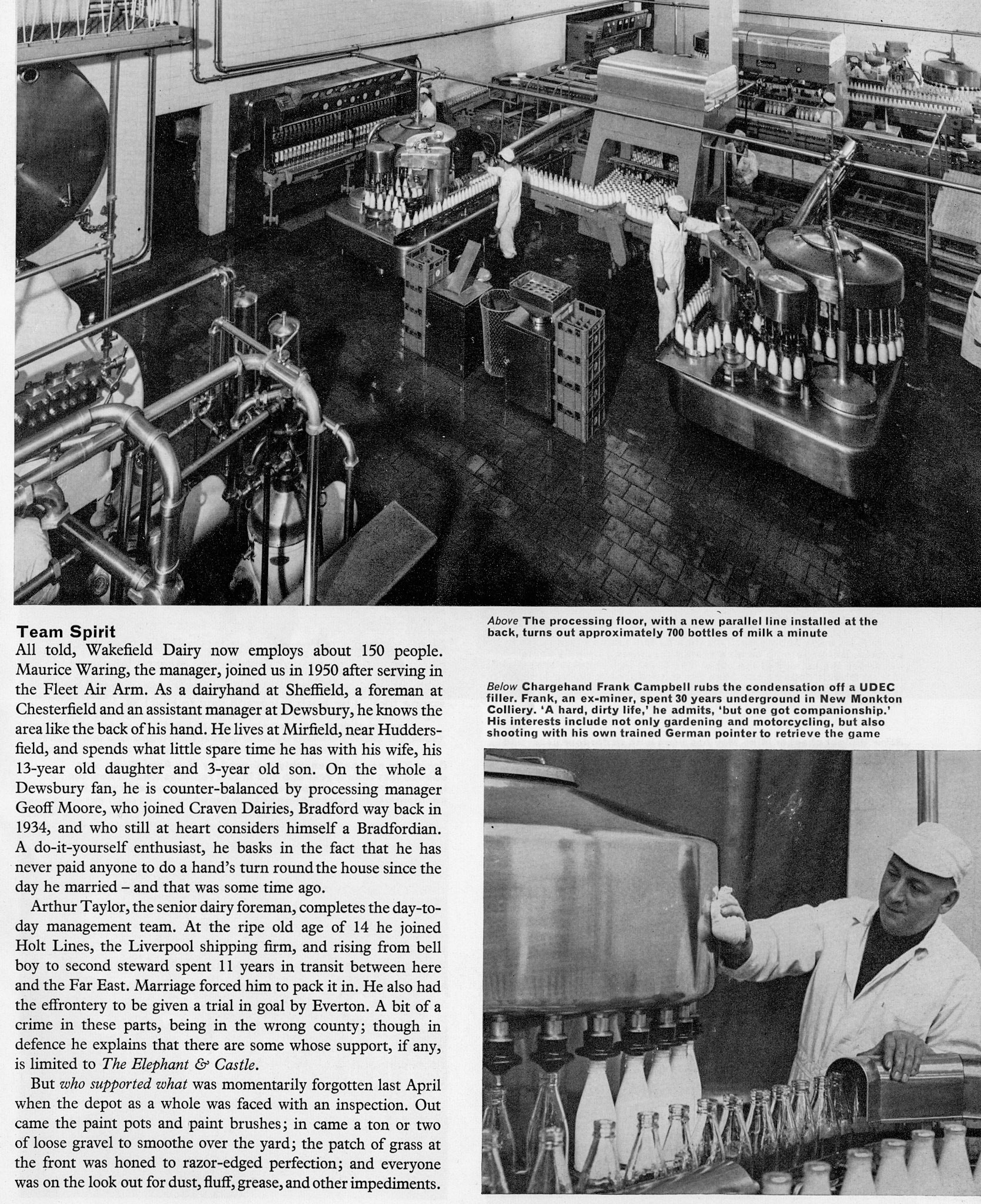 1968 Preparation for VIP visit to Wakefield Dairy