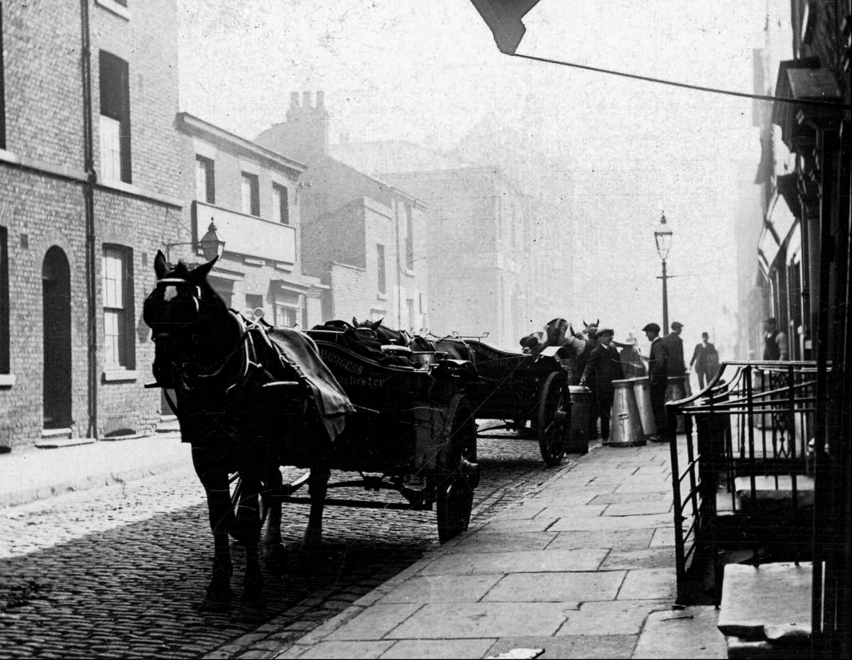 1920 Burgess Creamery, horse and churns, Gartside Street, Manchester (Image courtesy of Manchester Libraries)