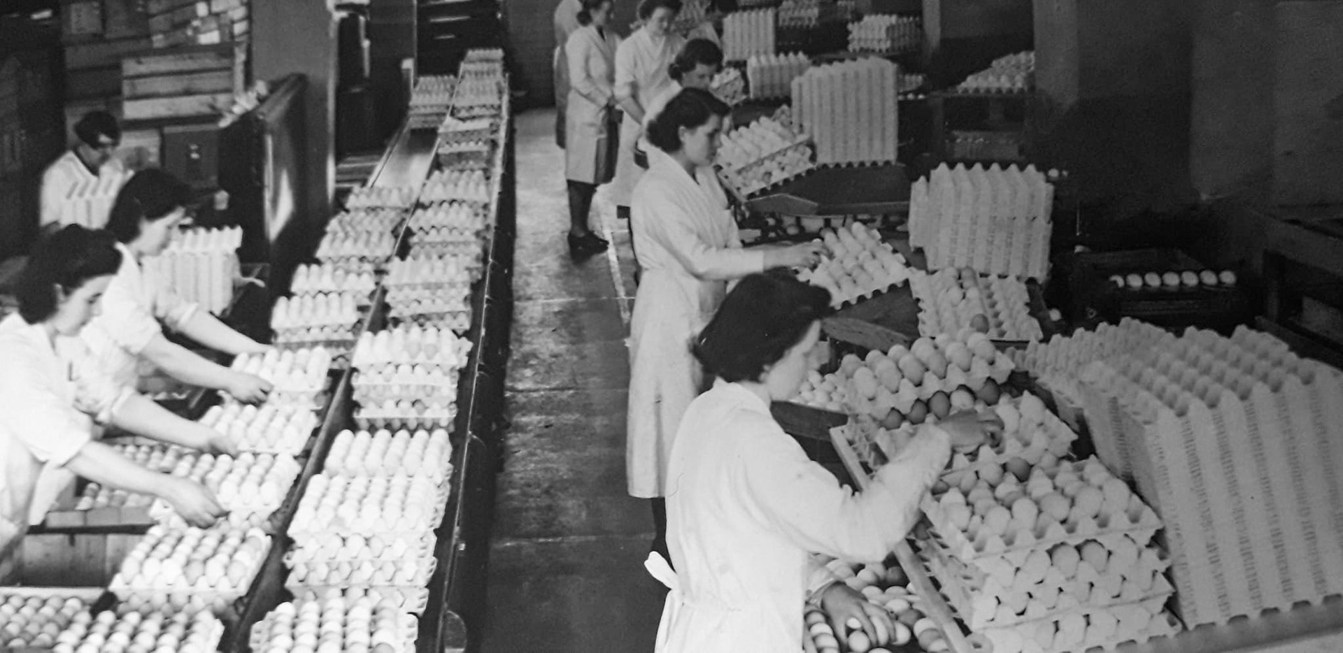 1950's ? Appleby Egg Packing Dept
