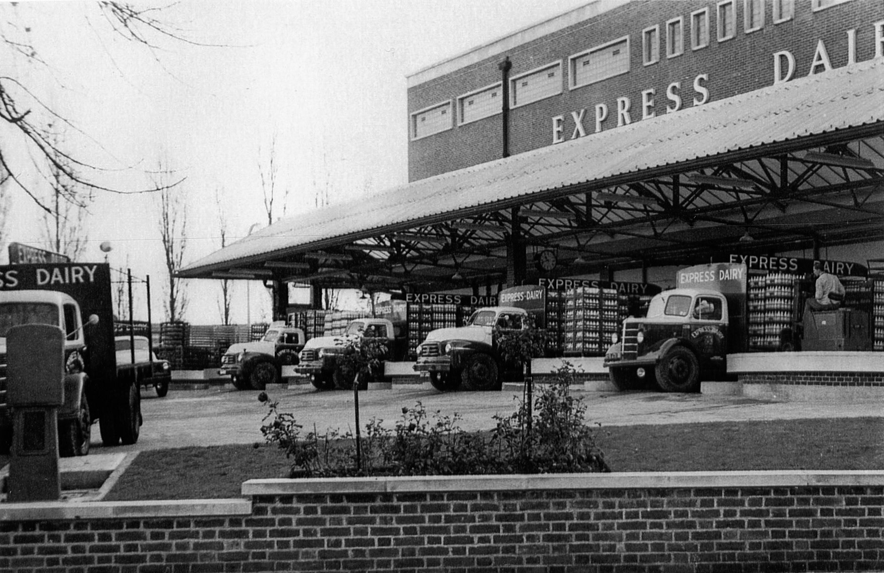1950's South Morden loading bank. (Courtesy Dave Fane)