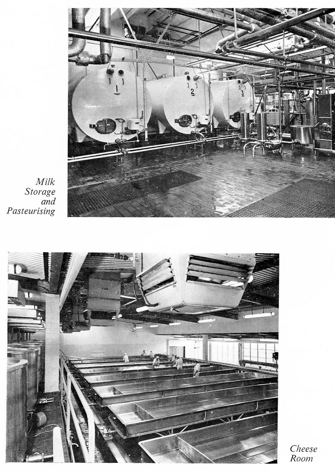 1970's Ruyton Creamery Visitors Brochure. (Courtesy Peter Ellis, Ruyton Revisited FB Group)
