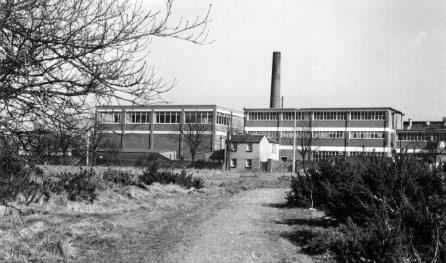 1933 Tower Creameries site from 'Workhouse Path'. The old workhouse master's Lodge is centre foreground. (Photograph reproduced by courtesy of Eric Montague, 'Memories of Tower Creameries by Irene Bain, Merton Historical Society 31)
