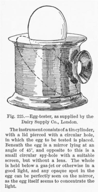 1910 Egg-tester, supplied by the Dairy Supply Company. Illustration for The Book of the Home edited by C E Humphry. (Courtesy Look and Learn)