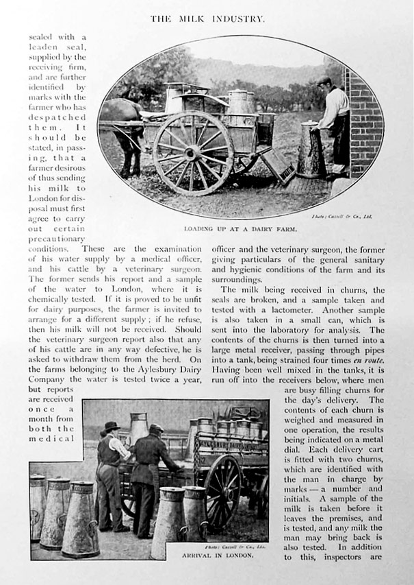 1910c 'Britain at Work' extracts - The Milk Industry. (Courtesy eBay Oldprints4all)