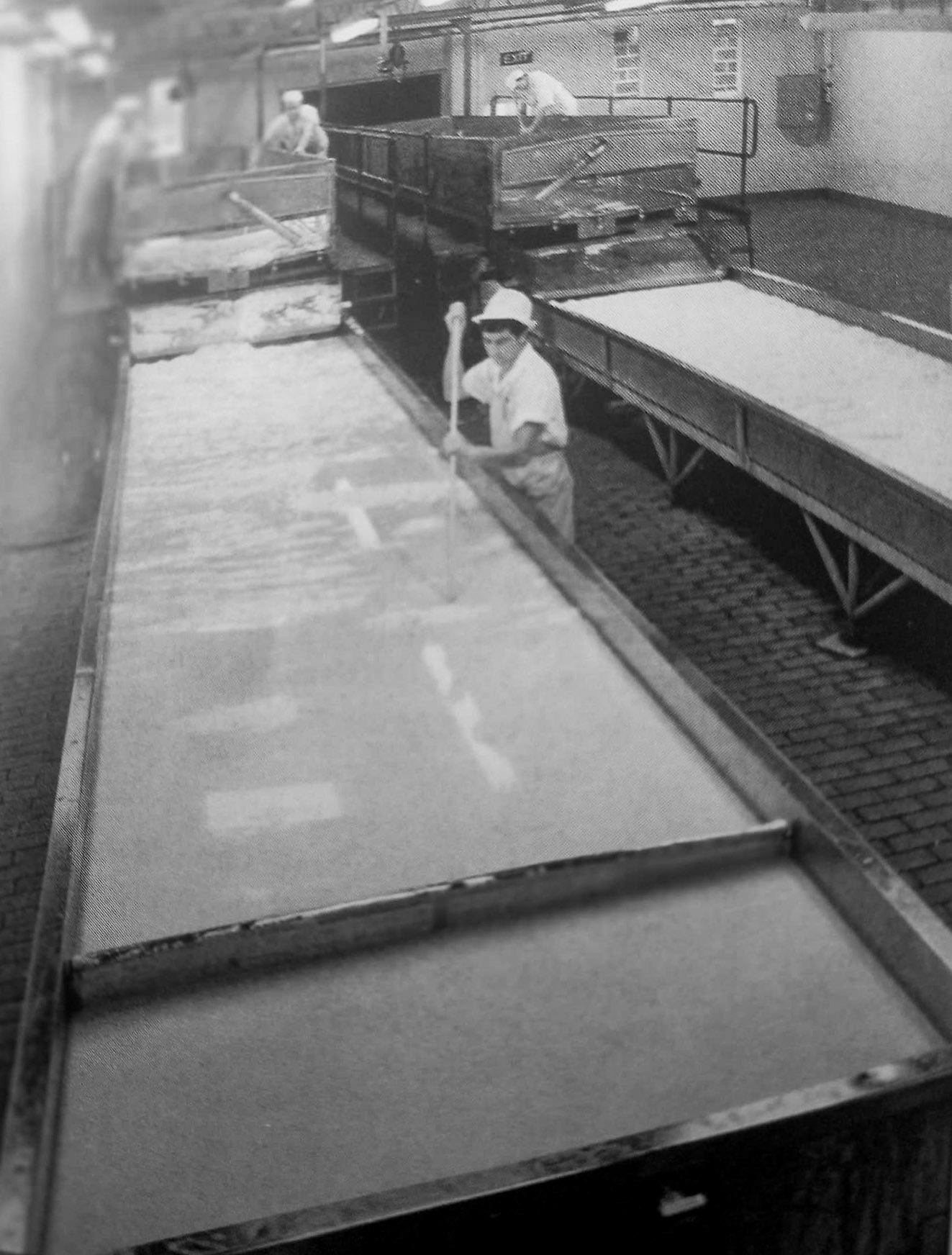 1970's? Tuxford and Tebbutt. David Henson identifies Lucas with his hat on the back of his head and no hair net! Peter Hughes comments "Looks like Pete Wharton and George Rose on the vats. Not sure about the third person on the vats. Maybe Malcolm Reid?" Denise Jenkins adds "Definitely Brian, such a lovely human being. Never said much, very dedicated and smiled a lot. (Courtesy Wendy Howard)