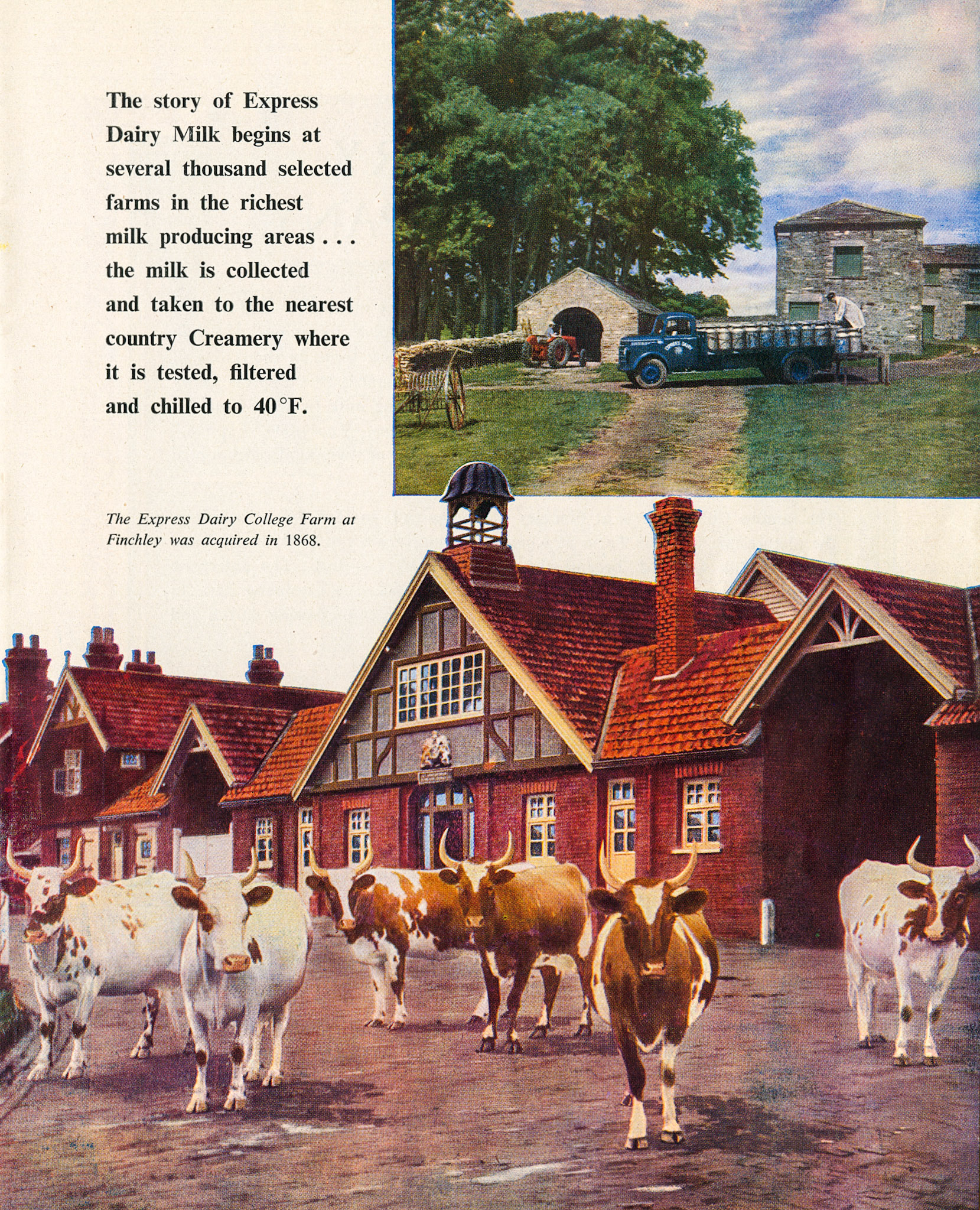 1952 'The Express Dairy' Booklet