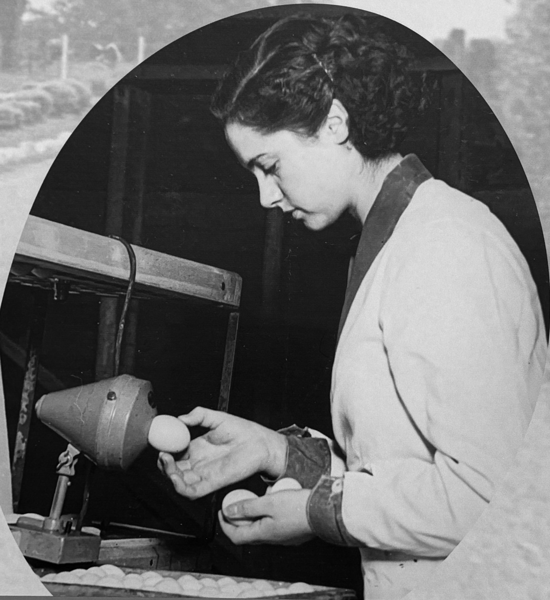 1950's? Egg testing and packing took place. (Didcot Dairy Exhibition 2024, Cornerstone Arts Centre)