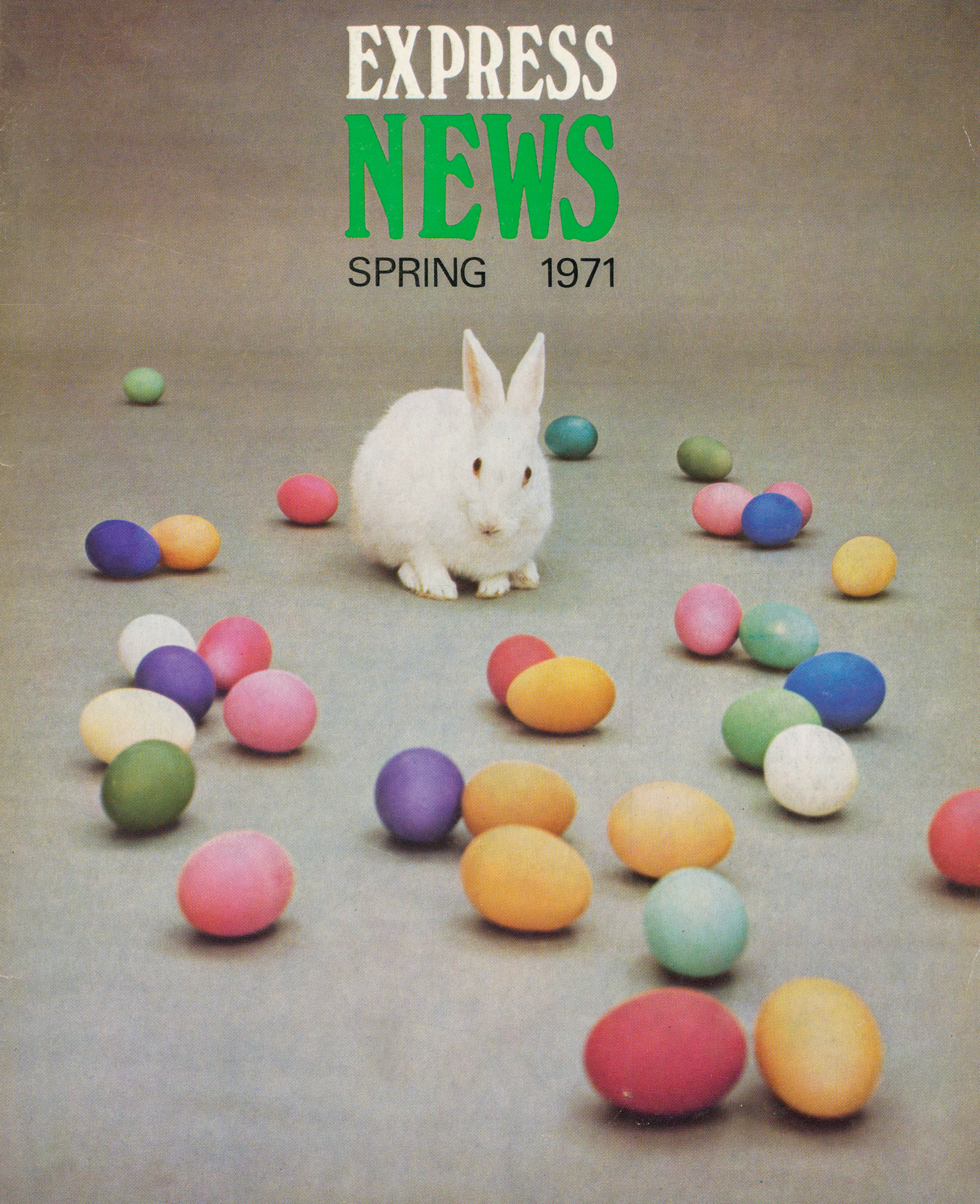 'Bewildered bunny - Easter Eggs, a pagan symbol of fertility, meet their match in a rabbit'