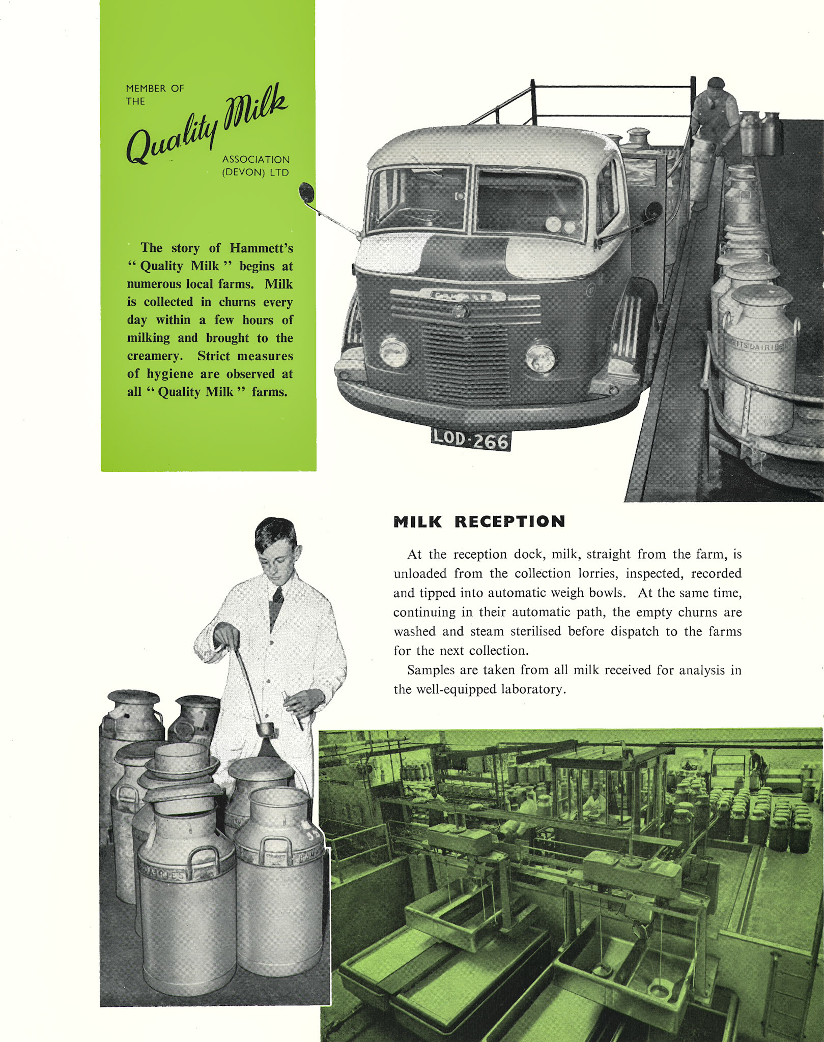 1957 Hammett's Dairies brochure. Churn collection from farms and milk reception. (Courtesy Michael Mitchell)