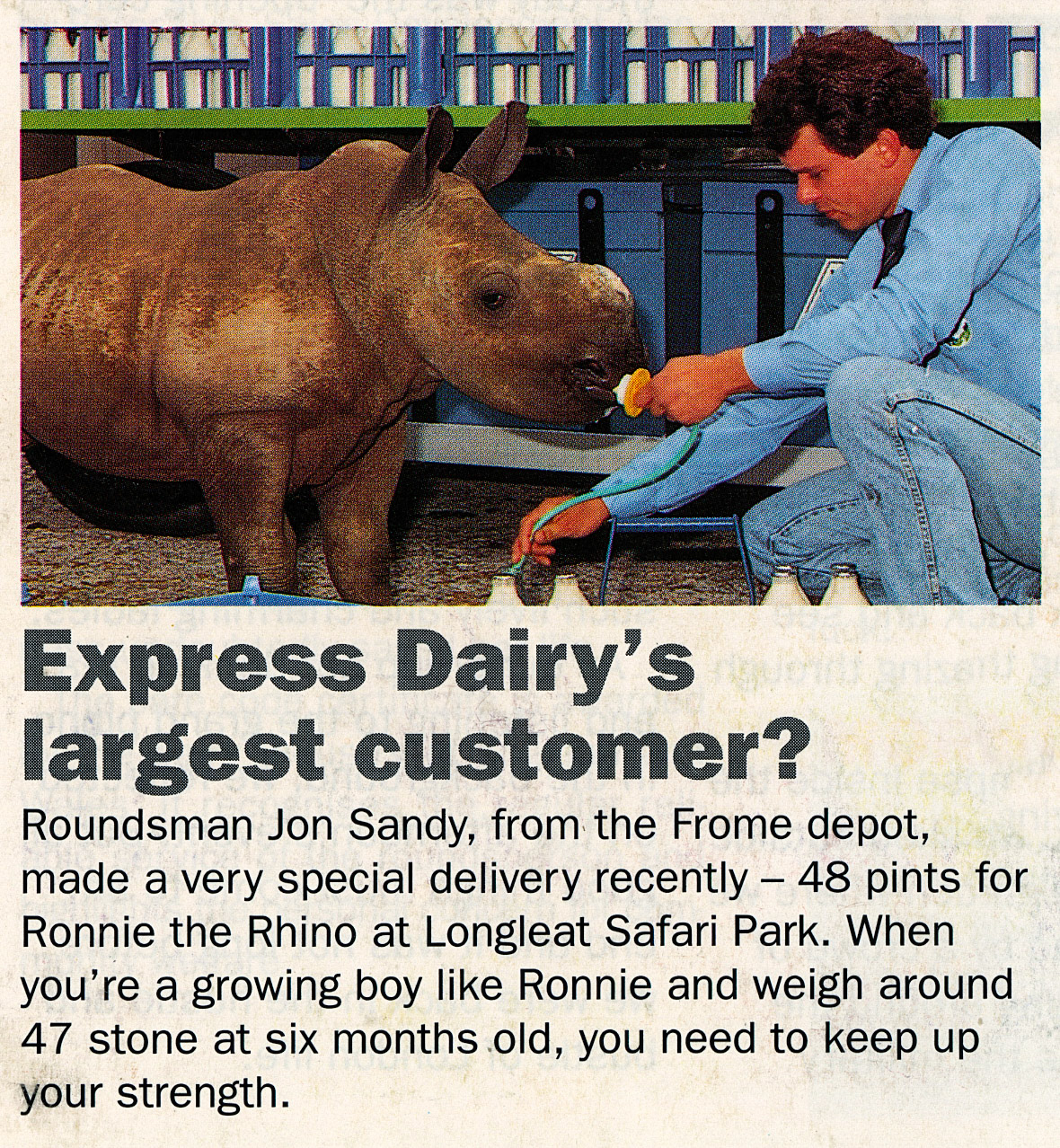 1990 Frome roundsman Jon Sandy provides milk for a Rhino (1990 Winter Tops Magazine, Courtesy Beryl Purslove)